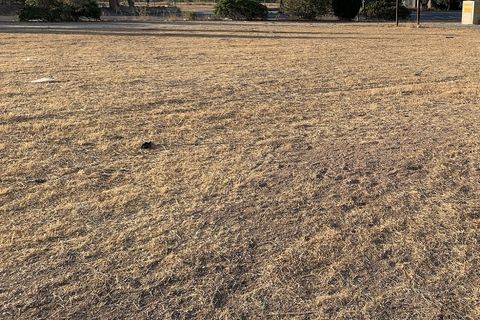 Terreno en Aspe, Alicante, Aspe - € 105.000 | Ref: ASP038 - photo 15