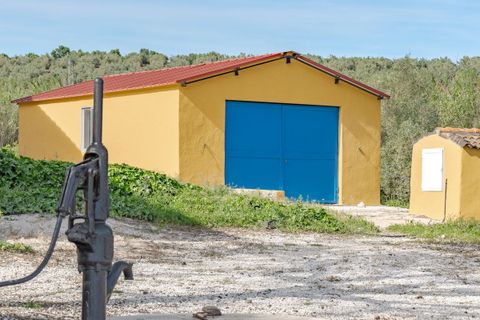 Cortijo i Coin, Malaga, Coin - € 695.000 | Ref: R5363977 - foto 49
