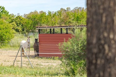Cortijo i Coin, Malaga, Coin - € 695.000 | Ref: R5363977 - foto 50