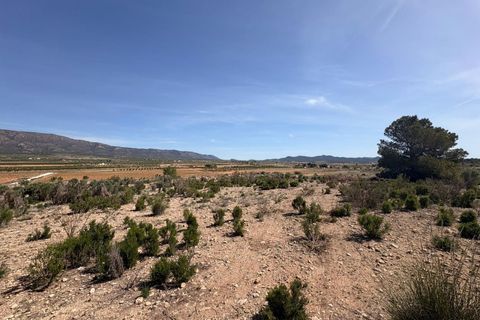 Helårsgrund i Pinoso, Alicante, Pinoso - € 49.995 | Ref: GM8896 - foto 1
