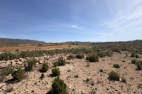 Helårsgrund i Pinoso, Alicante, Pinoso - € 49.995 | Ref: GM8896 - foto 3