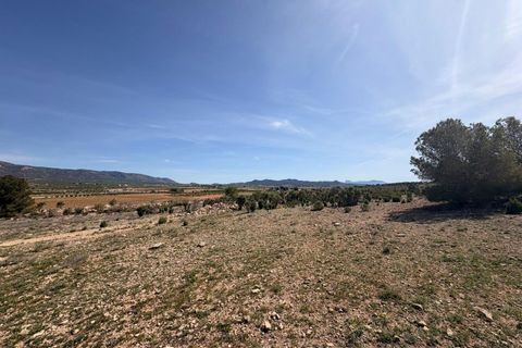 Helårsgrund i Pinoso, Alicante, Pinoso - € 49.995 | Ref: GM8896 - foto 5