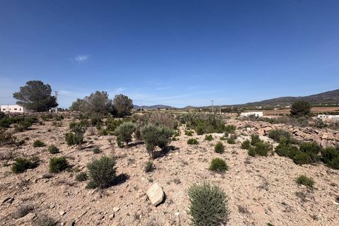 Helårsgrund i Pinoso, Alicante, Pinoso - € 49.995 | Ref: GM8896 - foto 7