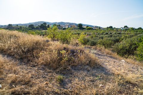 Ruinere i Raspay, Murcia, Raspay - € 56.500 | Ref: ANNFOX-R121 - foto 36