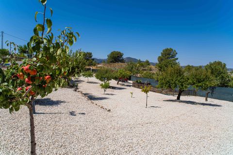 Villa i Monovar, Alicante, Monovar - € 285.000 | Ref: ANNFOX-R133 - foto 5