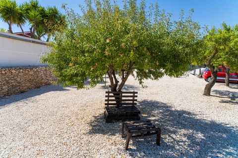 Villa i Monovar, Alicante, Monovar - € 285.000 | Ref: ANNFOX-R133 - foto 19