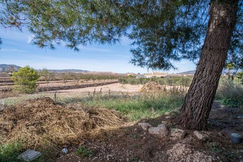 Landsbyhus i Pinoso, Alicante, Pinoso - € 149.000 | Ref: ANNFOX-R155 - foto 24
