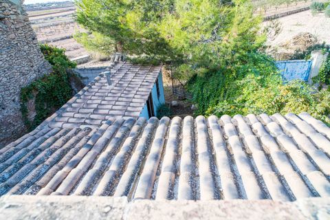 Landsbyhus i Pinoso, Alicante, Pinoso - € 149.000 | Ref: ANNFOX-R155 - foto 47