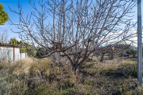Byhus i Pinoso, Alicante, Pinoso - € 169.950 | Ref: ANNFOX-R164 - foto 4