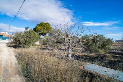 Byhus i Pinoso, Alicante, Pinoso - € 169.950 | Ref: ANNFOX-R164 - foto 48