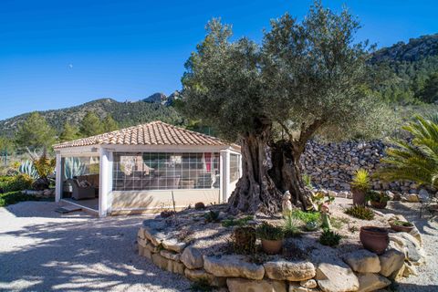 Villa i La Zarza, Murcia, La Zarza - € 450.000 | Ref: ANNFOX-R166 - foto 38