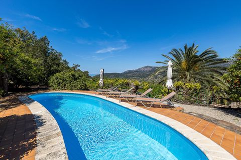 Landejendom i Soller, Mallorca, Soller - € 3.500.000 | Ref: V0426/13728 - foto 40