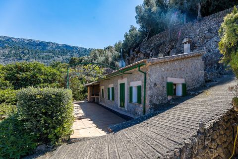 Landejendom i Soller, Mallorca, Soller - € 3.500.000 | Ref: V0426/13728 - foto 41
