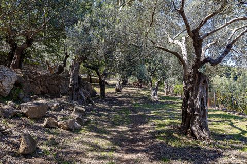 Landejendom i Soller, Mallorca, Soller - € 3.500.000 | Ref: V0426/13728 - foto 44