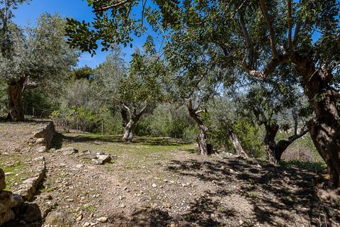 Landejendom i Soller, Mallorca, Soller - € 3.500.000 | Ref: V0426/13728 - foto 45