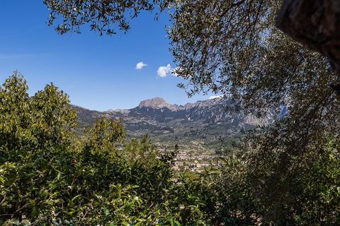Landejendom i Soller, Mallorca, Soller - € 3.500.000 | Ref: V0426/13728 - foto 46