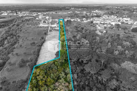 Villa a Santarem, Santarem, Santarem - € 269.000 | Ref: FR1109 - foto 16