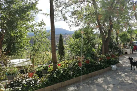 Landejendom i Caniles, Granada, Caniles - € 244.000 | Ref: v2895 - foto 2