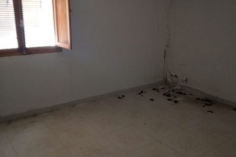 Landejendom i Benamaurel, Granada, Benamaurel - € 38.000 | Ref: v2937 - foto 10