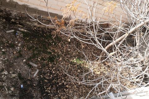 Landejendom i Benamaurel, Granada, Benamaurel - € 38.000 | Ref: v2937 - foto 18