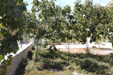 Landejendom i Benamaurel, Granada, Benamaurel - € 70.000 | Ref: v3024 - foto 25