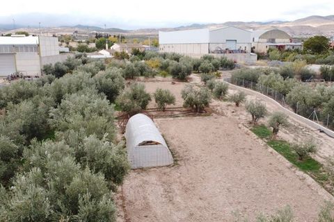 Landejendom i Baza, Granada, Baza - € 200.000 | Ref: v3027 - foto 4