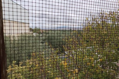 Landejendom i Baza, Granada, Baza - € 200.000 | Ref: v3027 - foto 35