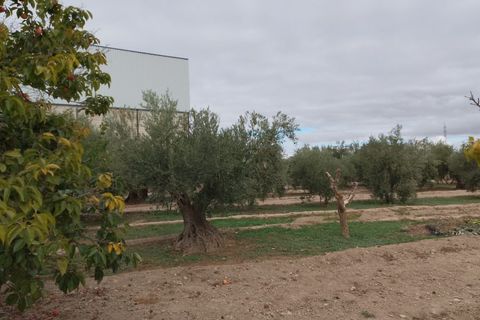 Landejendom i Baza, Granada, Baza - € 200.000 | Ref: v3027 - foto 49