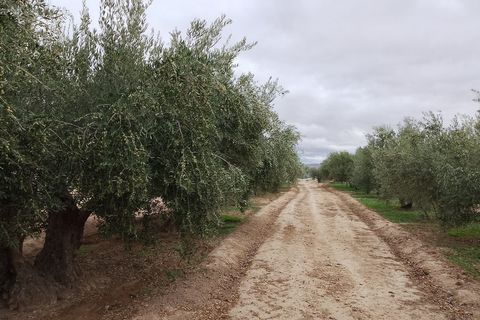 Landejendom i Baza, Granada, Baza - € 200.000 | Ref: v3027 - foto 50