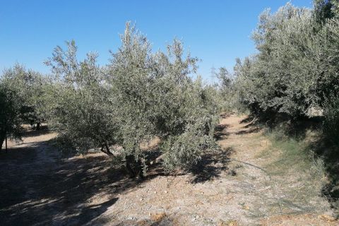 Landejendom i Baza, Granada, Baza - € 169.800 | Ref: v3101 - foto 17