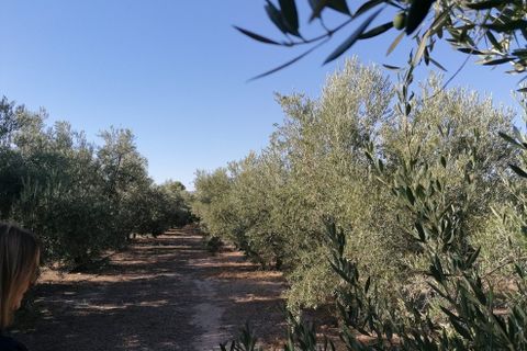 Landejendom i Baza, Granada, Baza - € 169.800 | Ref: v3101 - foto 18