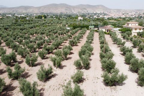 Landejendom i Baza, Granada, Baza - € 477.000 | Ref: v3142 - foto 10