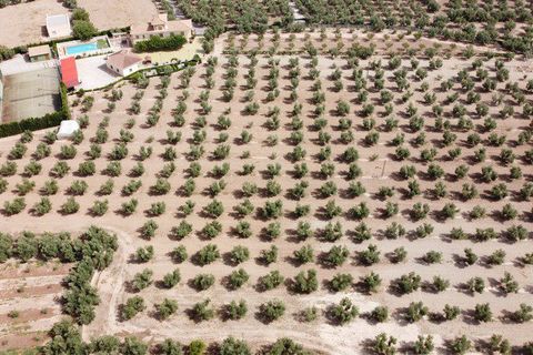 Landejendom i Baza, Granada, Baza - € 477.000 | Ref: v3142 - foto 12