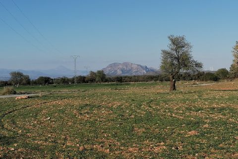 Landejendom i Baul, Granada, Baul - € 150.000 | Ref: V3143 - foto 45