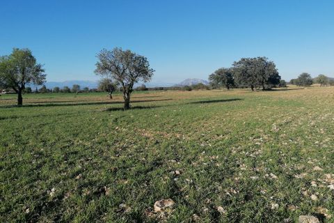 Landejendom i Baul, Granada, Baul - € 150.000 | Ref: V3143 - foto 49