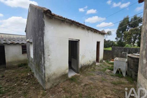 Byhus i Espinho, Aveiro, Espinho - € 95.000 | Ref: 876940 - foto 7