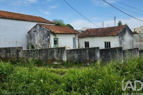 Byhus i Espinho, Aveiro, Espinho - € 95.000 | Ref: 876940 - foto 21