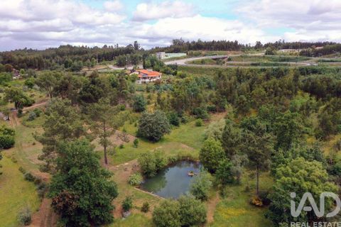 Byhus i Tabua, Coimbra, Tabua - € 790.000 | Ref: 118927 - foto 3