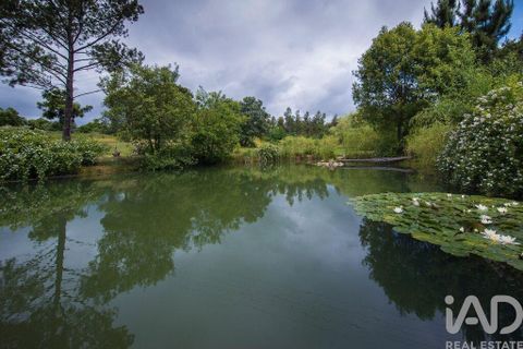 Byhus i Tabua, Coimbra, Tabua - € 790.000 | Ref: 118927 - foto 8