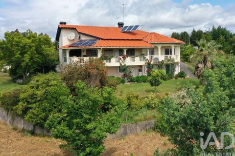 Byhus i Tabua, Coimbra, Tabua - € 790.000 | Ref: 118927 - foto 26