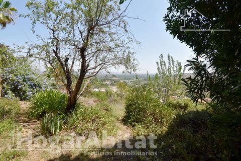 Villa a Torrent, Valencia, Torrent - € 439.000 | Ref: 001SER439.OFP-H/3716 - foto 41