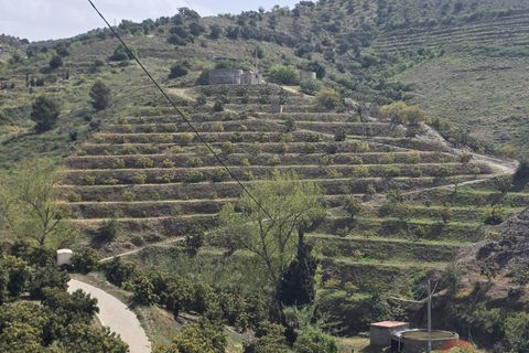 Terra a Itrabo, Granada, Itrabo - € 125.000 | Ref: M721 - foto 3