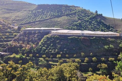 Terra a Itrabo, Granada, Itrabo - € 125.000 | Ref: M721 - foto 5