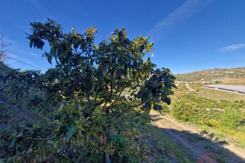 Terra a Itrabo, Granada, Itrabo - € 125.000 | Ref: M721 - foto 9