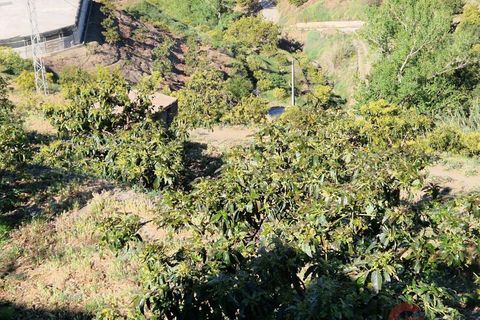 Terra a Itrabo, Granada, Itrabo - € 125.000 | Ref: M721 - foto 10