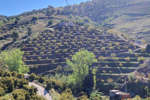 Terra a Itrabo, Granada, Itrabo - € 125.000 | Ref: M721 - foto 12