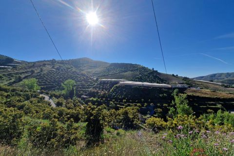 Terra a Itrabo, Granada, Itrabo - € 125.000 | Ref: M721 - foto 13