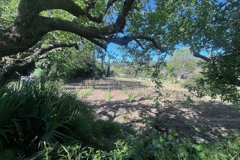 Villa i Cassis, Bouches-du-Rhone, Cassis - € 3.150.000 | Ref: HH-16147882 - foto 10