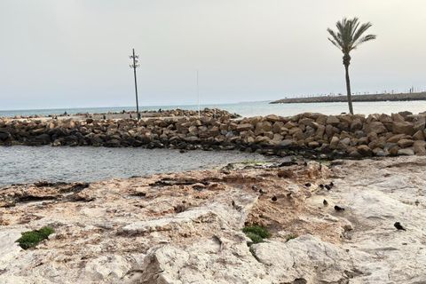 Leilighet i Torrevieja, Alicante, Torrevieja - € 475 000 | Ref: EXP14038/8930 - foto 25