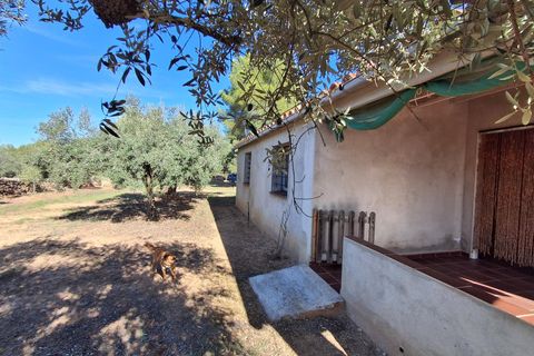 Helårsgrund i Rasquera, Tarragona, Rasquera - € 80.000 | Ref: EXP14061/8930 - foto 10